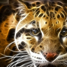 леопард2