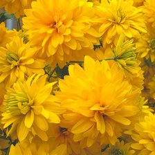 Схема вышивки «картина»