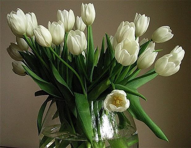 №359698 - оригинал