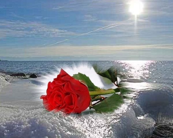 №359700 - оригинал