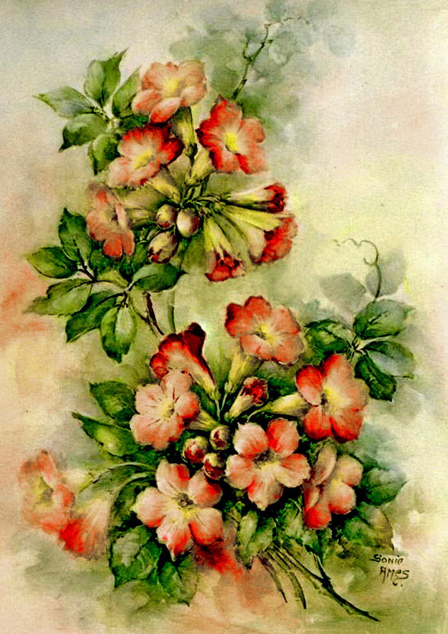 акварельные цветы - цветы, вьюнок, акварель - оригинал