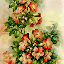 Оригинал схемы вышивки «акварельные цветы» (№359721)
