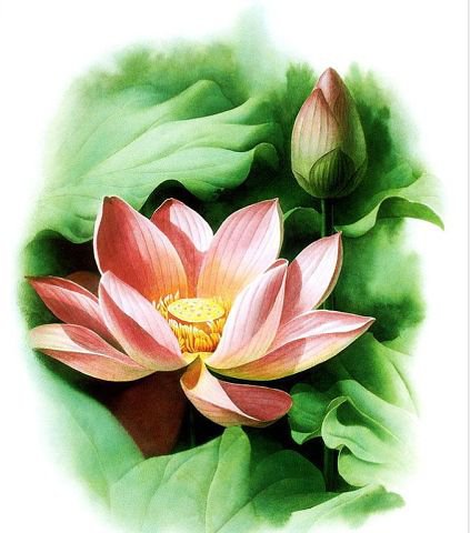 №359731 - оригинал