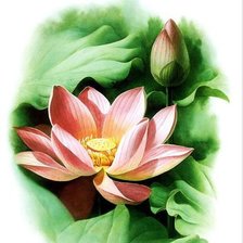 Схема вышивки «№359731»