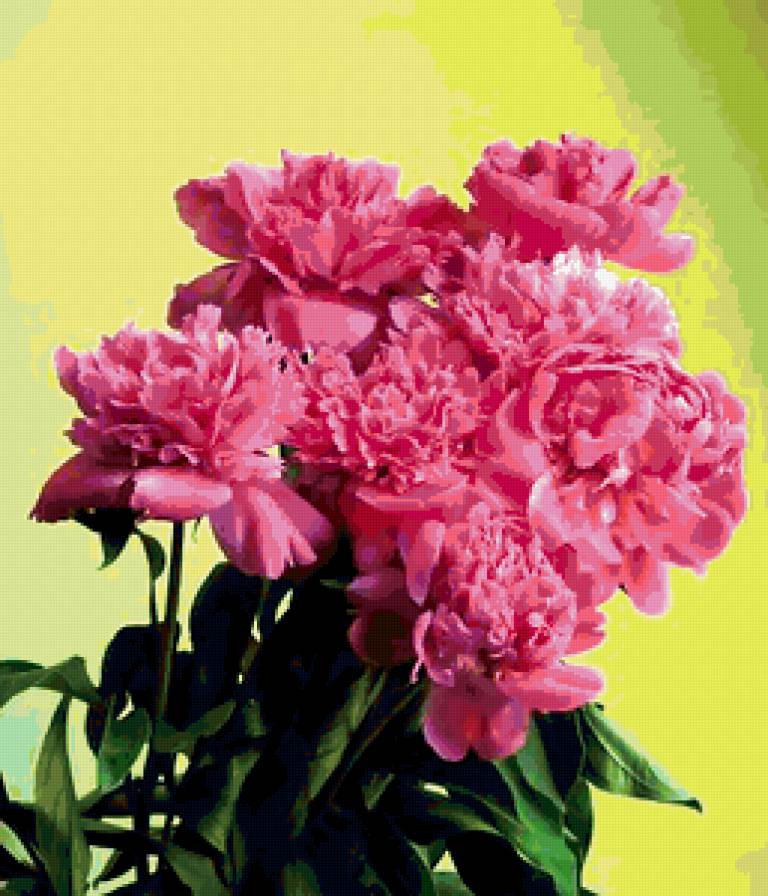 №359744 - предпросмотр