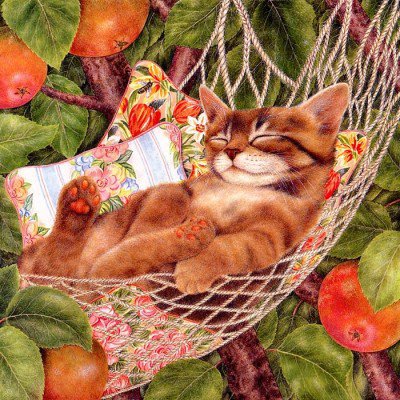 кот-15 - сад, яблоки, кот - оригинал