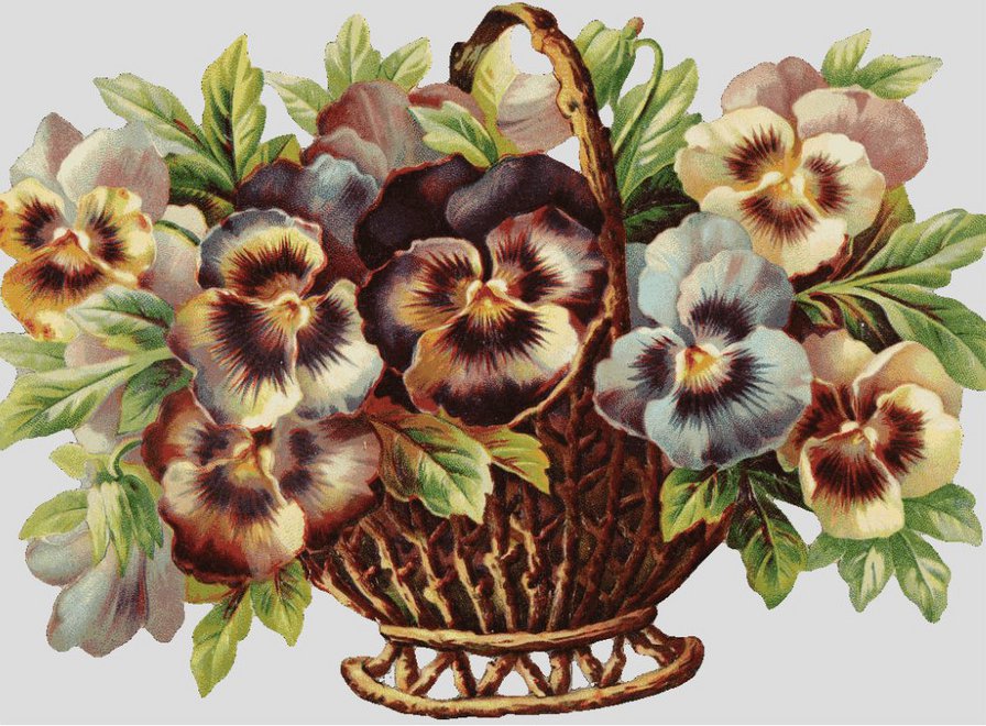 анютины глазки - оригинал