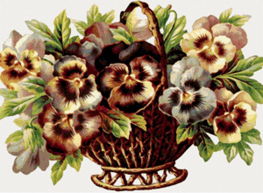 анютины глазки - предпросмотр