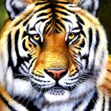 Оригинал схемы вышивки «Тигр» (№360000)