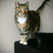 Схема вышивки «№360022»