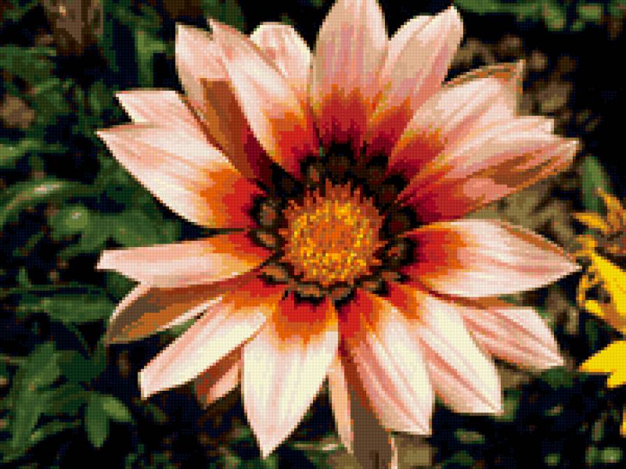 №360067 - цветы - предпросмотр