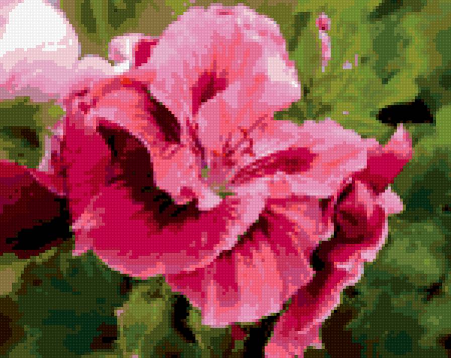 №360073 - цветы - предпросмотр