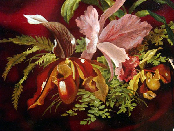 императорский цветок - оригинал