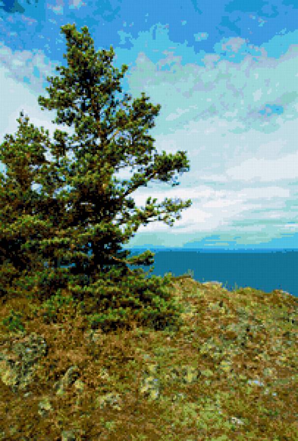 №360111 - деревья, лето, пейзаж, природа - предпросмотр