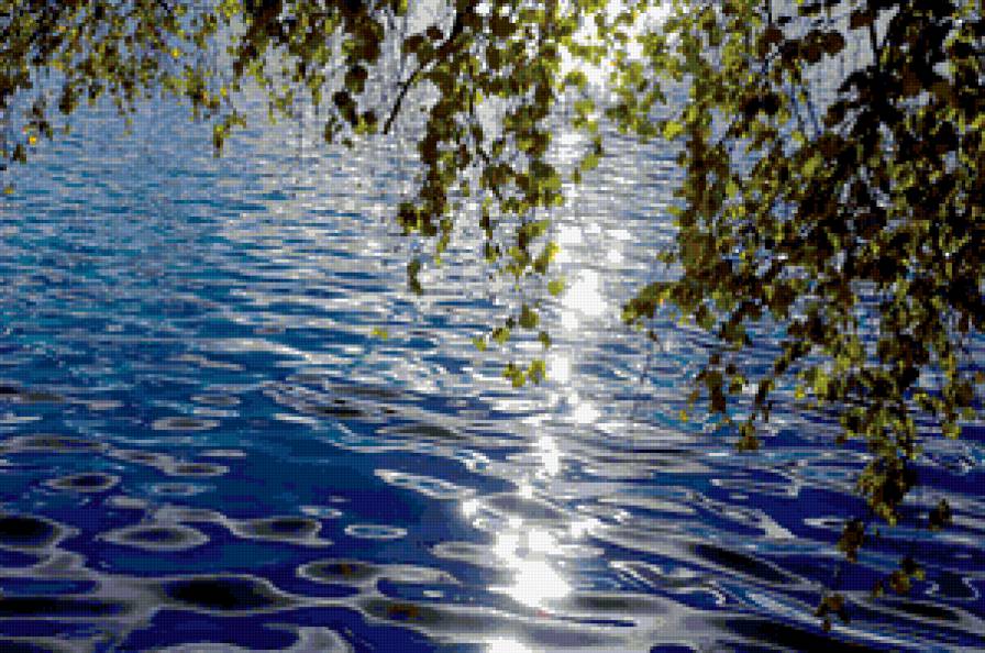 над водой - природа, деревья, береза, пейзаж, река - предпросмотр