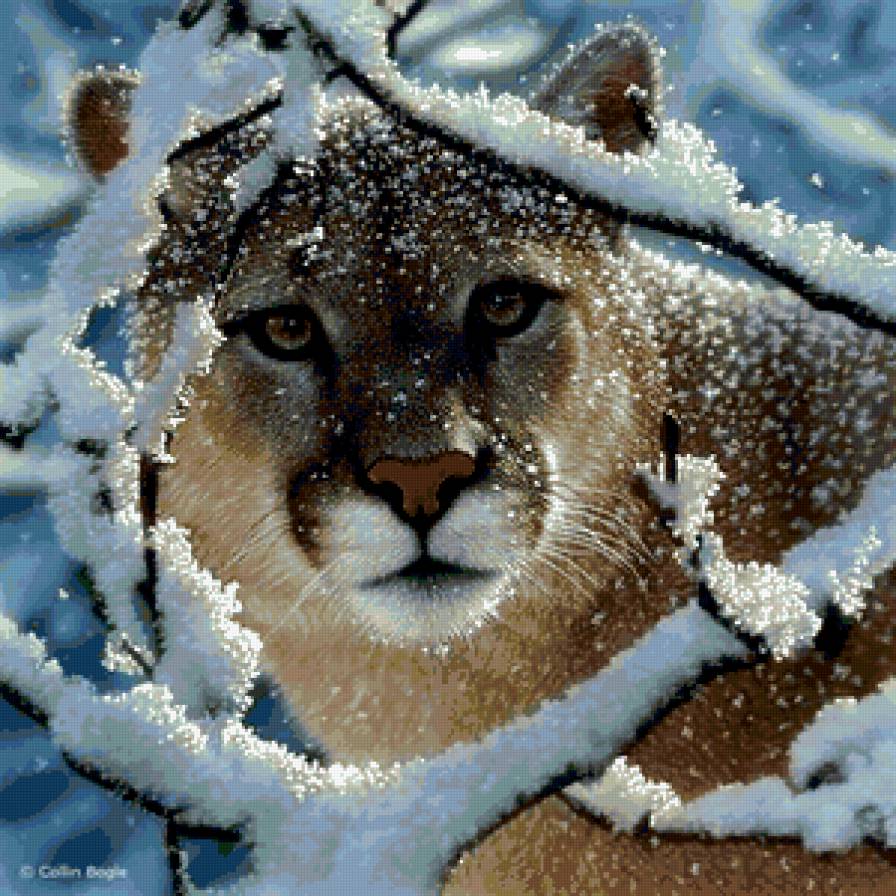 Рысь - предпросмотр