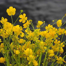 Схема вышивки «№360188»