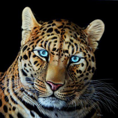 №360190 - оригинал