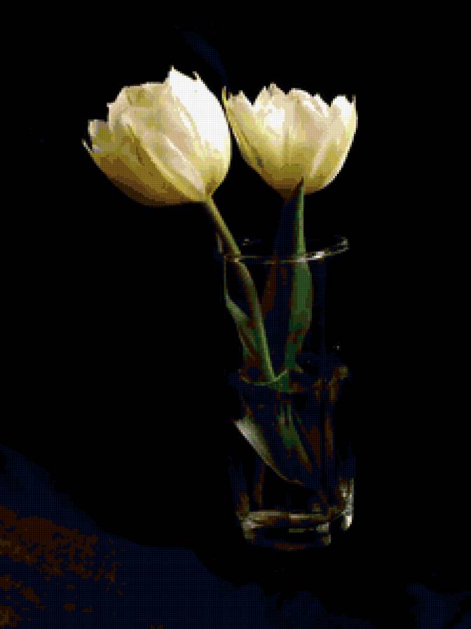 тюльпаны - тюльпаны, цветы, на черном, букет - предпросмотр