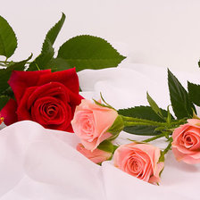 Схема вышивки «№360327»