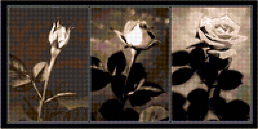 №360328 - предпросмотр