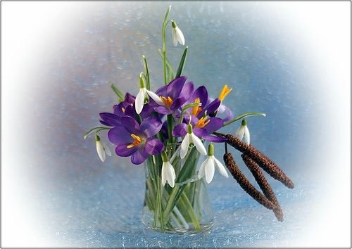 №360447 - оригинал