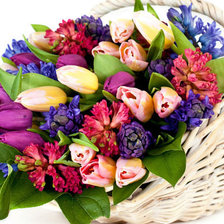 Схема вышивки «№360453»