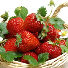 Схема вышивки «№360454»