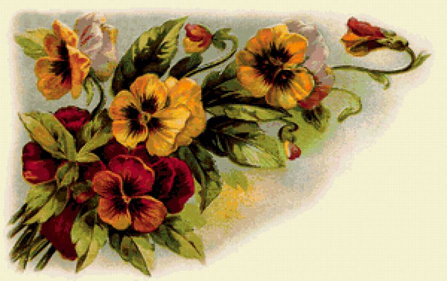 анютины глазки - предпросмотр