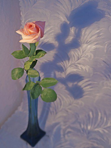 №360513 - розы, букет, натюрморт, цветы - оригинал