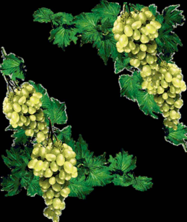 №360531 - виноград, подушка, скатерть, узор, салфетка, уголок - предпросмотр