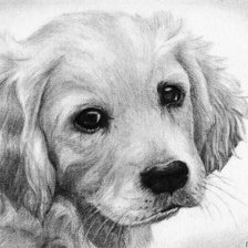 Схема вышивки «№360625»