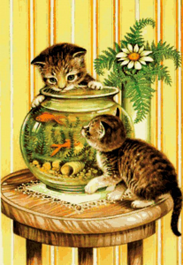 котята - предпросмотр