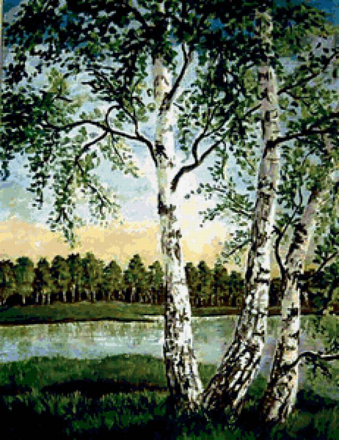 березки у реки - предпросмотр