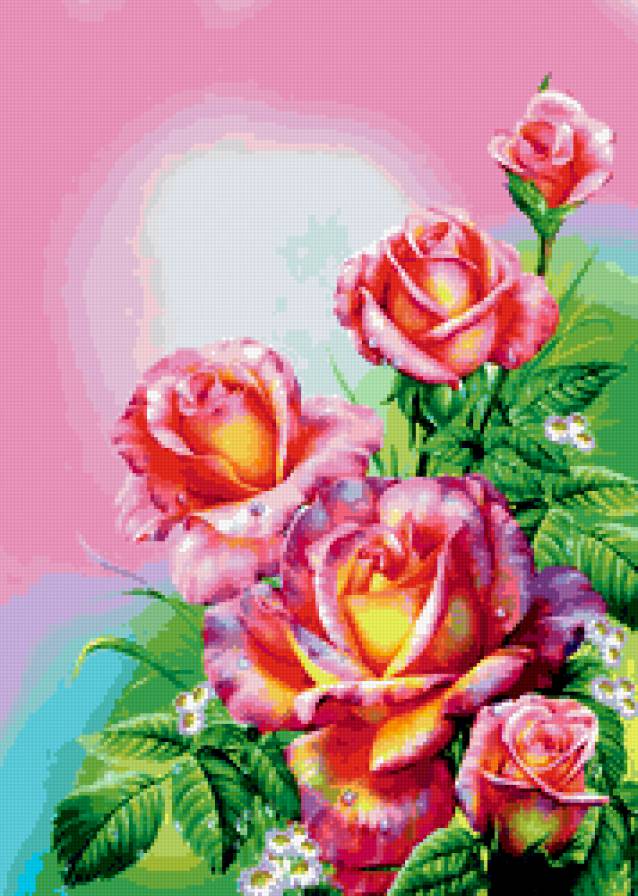 Розы - цветы - предпросмотр