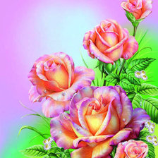 Схема вышивки «Розы»