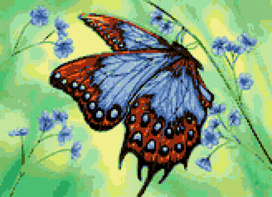 Бабочка - предпросмотр