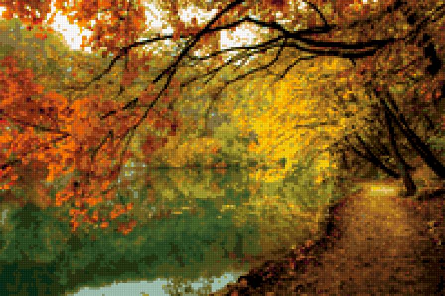 осень - лес, осень - предпросмотр