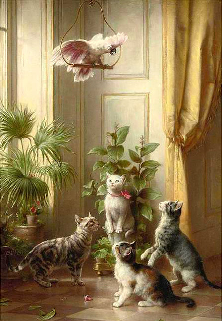 кошки и какаду - какду, кошки - оригинал