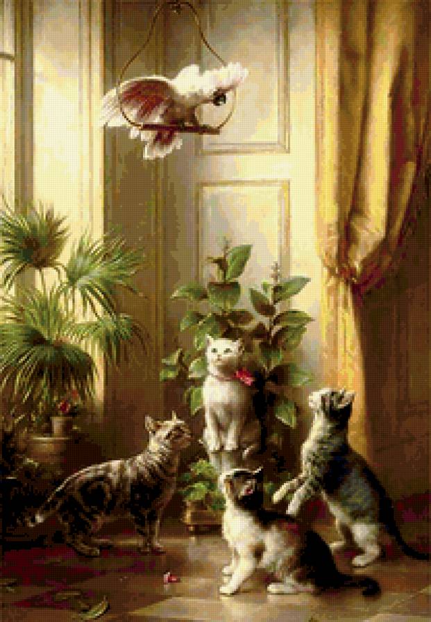 кошки и какаду - какду, кошки - предпросмотр