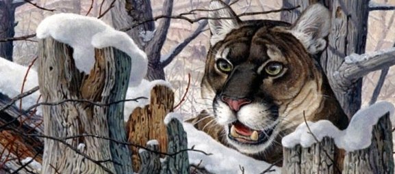 №360901 - оригинал