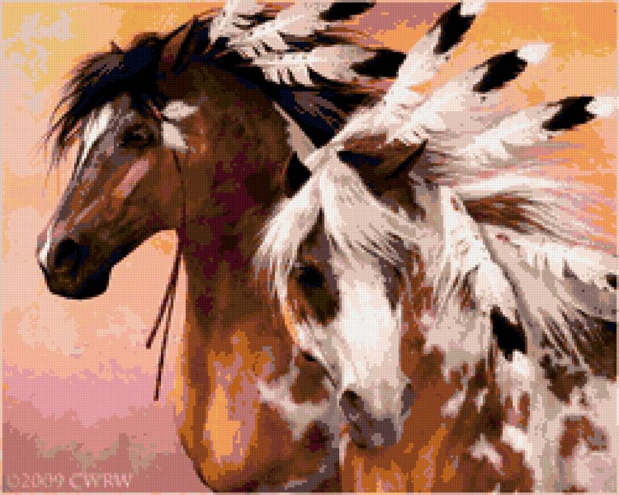 Индейские лошади - лошади - предпросмотр