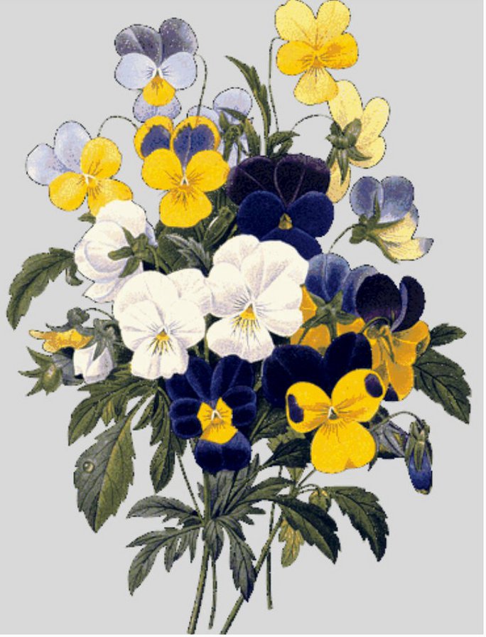 букетик - анютины глазки - оригинал