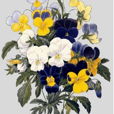 Схема вышивки «букетик»