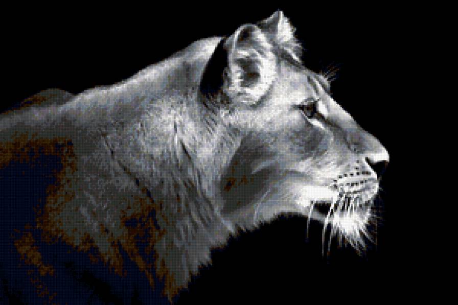 Львица - предпросмотр