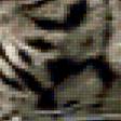 Предпросмотр схемы вышивки «Тигр» (№361294)