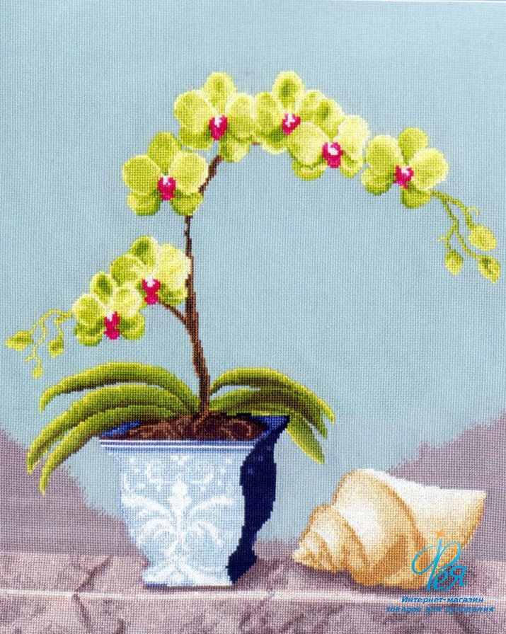 №361392 - оригинал