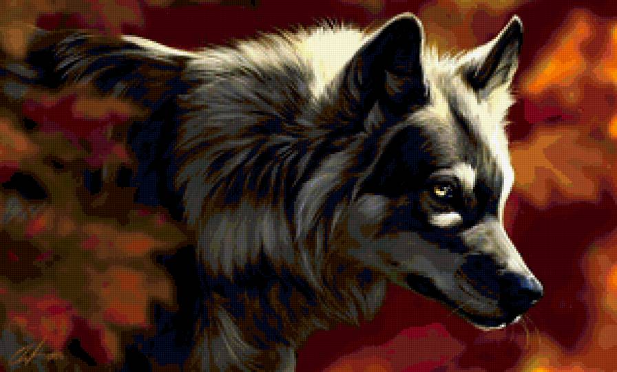 Волк - животные, волк - предпросмотр