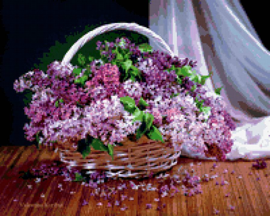 Сирень - предпросмотр