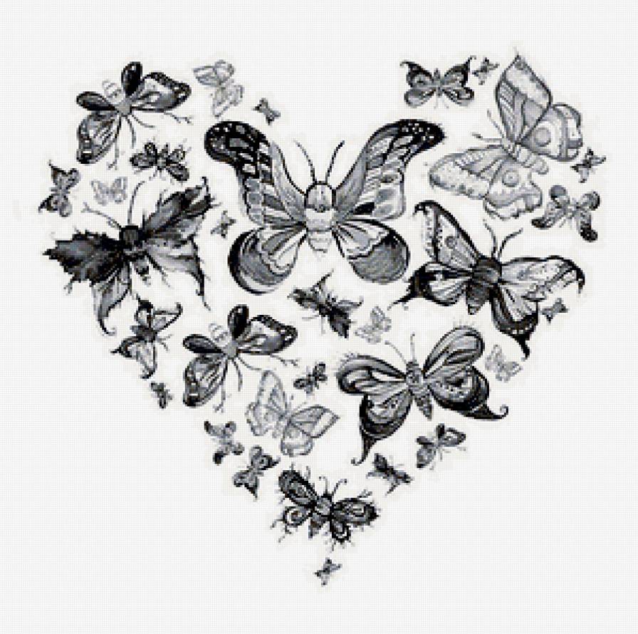 Бабочка - предпросмотр